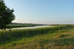 Работа 2813931