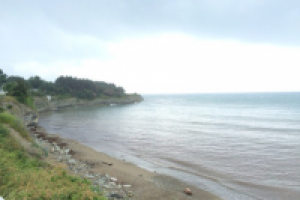 Работа 2813823