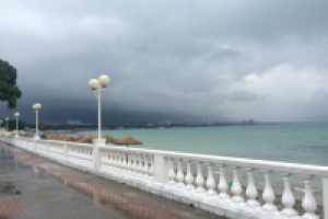 Работа 2813815