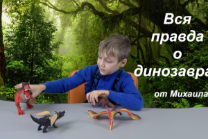 Видеомонтаж и видеосъемка в собственной школе видеоблогинга