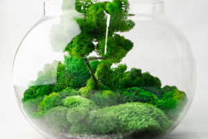 Предметная съёмка 010