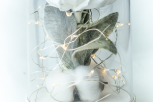 Предметная съёмка 009