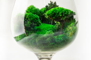 Предметная съёмка 003