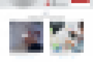 Работа 3010859