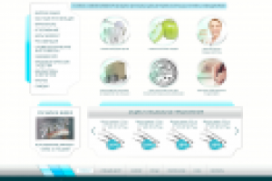 Работа 3006503