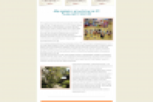 Работа 2996273