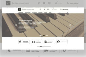 Магазин музыкальных интсрументов "Brother-muzon"