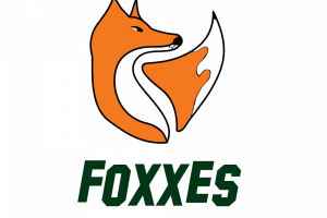 Интернет-магазин дизайнерской одежды