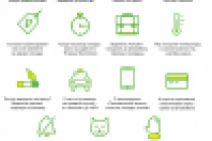 ТаксовичкоФ_Печатная продукция_Реклама в автомобилях