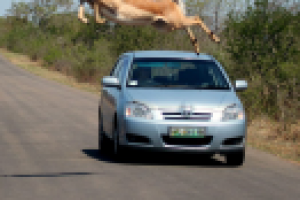 ГрузовичкоФ_Социальные сети_Посты_Идеи + текст