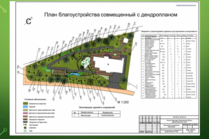 Генеральный план благоустройства частного участка