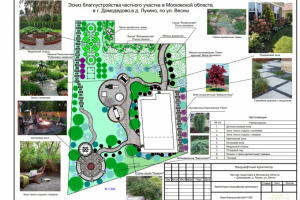 Эскиз благоустройства частного участка