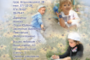 Страница -визитка детского сада