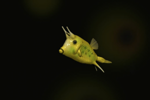 Набросок  в zbrush