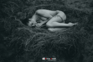 Алла Бергер