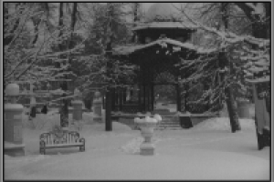 Сад Эрмитаж зимой