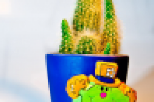 Съемка кактуса