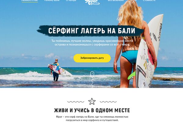 img3491351.png