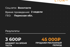 Кейс: продвижение стоматологии в Пермской области