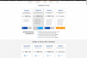 Разработка сайта (дизайн, верстка, интеграция, функционал)