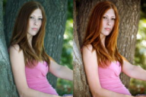 Работа 1305721