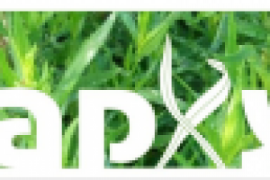 разработать нейминг на среднегазированный безалкогольный напиток