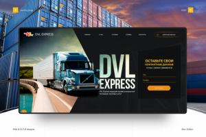 DVL express - -ведущий профессиональный поставщик грузовых услуг