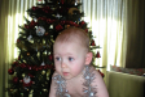 Работа 2491579