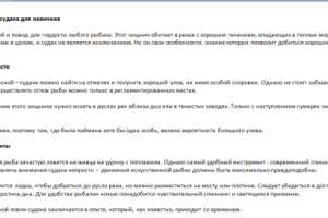 Ловим судака