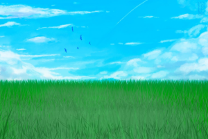 sky and grass