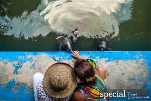 Для экспедиционной компании «Клуб путешествий «Special»