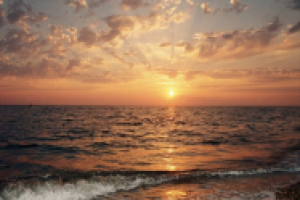 Лазаревское (отрывок)