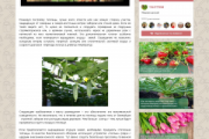 Работа 2963643