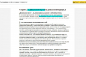 Работа 2954569