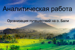 Исследовательская работа для услуги "Туры на Бали"