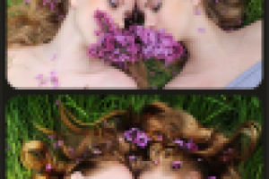 Работа 2258992