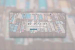 Book Shop - маленький книжный магазин