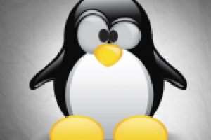 Отрисовка изображения