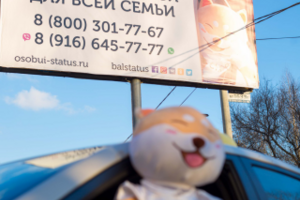 Билборд