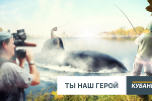 Пример баннера для Кубань 24