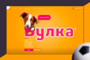 Поиск четвероногова друга