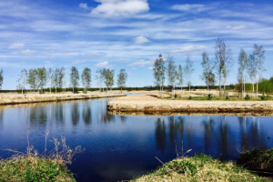 Вид на Волгу