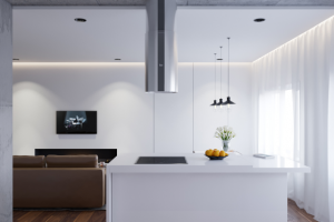 Кухня-гостиная