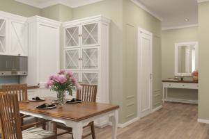 Кухня-гостиная