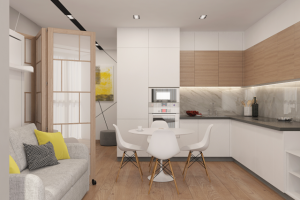 Кухня-гостиная