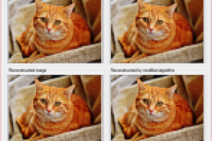 DeblurModification (opensource)
