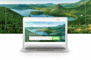 Работа 3885541