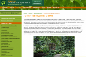 Лунный сад на дачном участке