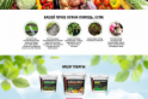 Дизайн лендинга