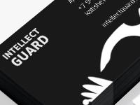 Intellect guard